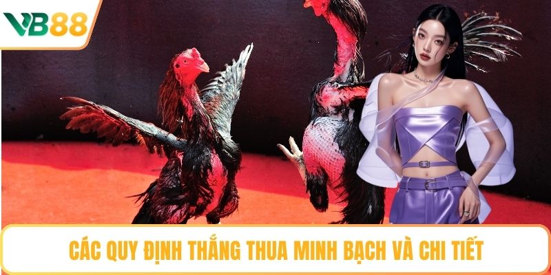 Các quy định thắng thua minh bạch và chi tiết