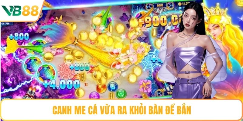 Canh me cá vừa ra khỏi bàn để bắn