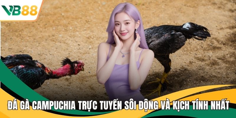 Đá gà campuchia