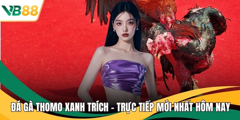 Đá gà thomo xanh trích