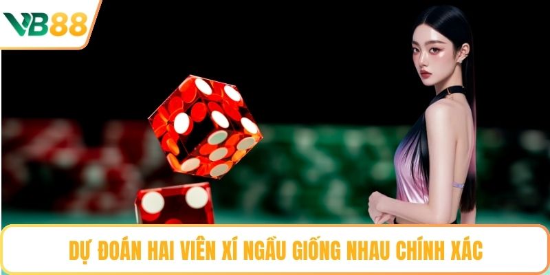 Dự đoán hai viên xí ngầu giống nhau chính xác
