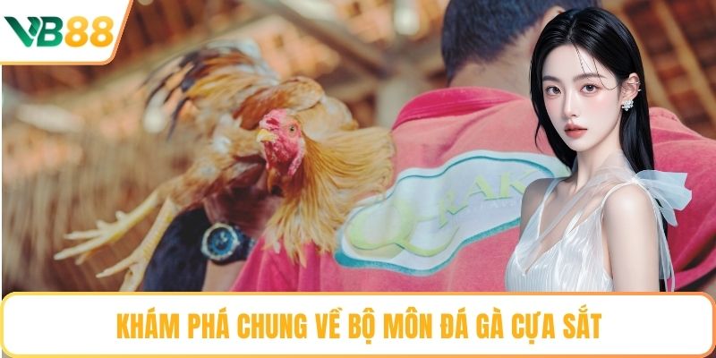 Khám phá chung về bộ môn đá gà cựa sắt