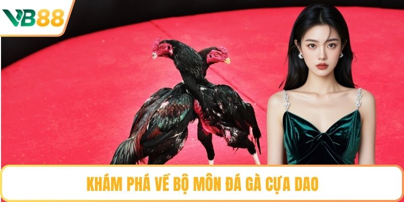 Khám phá về bộ môn đá gà cựa dao