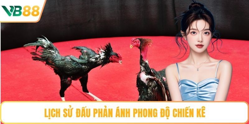 Lịch sử đấu phản ánh phong độ chiến kê