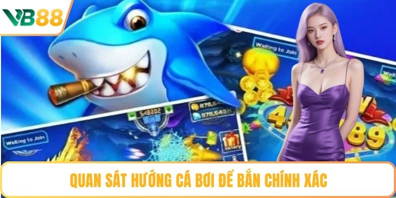 Quan sát hướng cá bơi để bắn chính xác