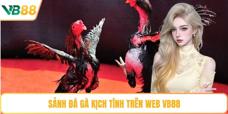 Sảnh đá gà kịch tính trên web VB88