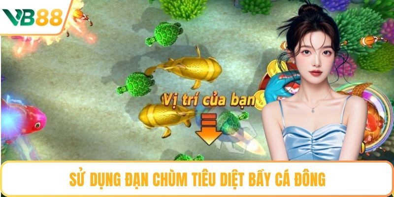 Sử dụng đạn chùm tiêu diệt bầy cá đông
